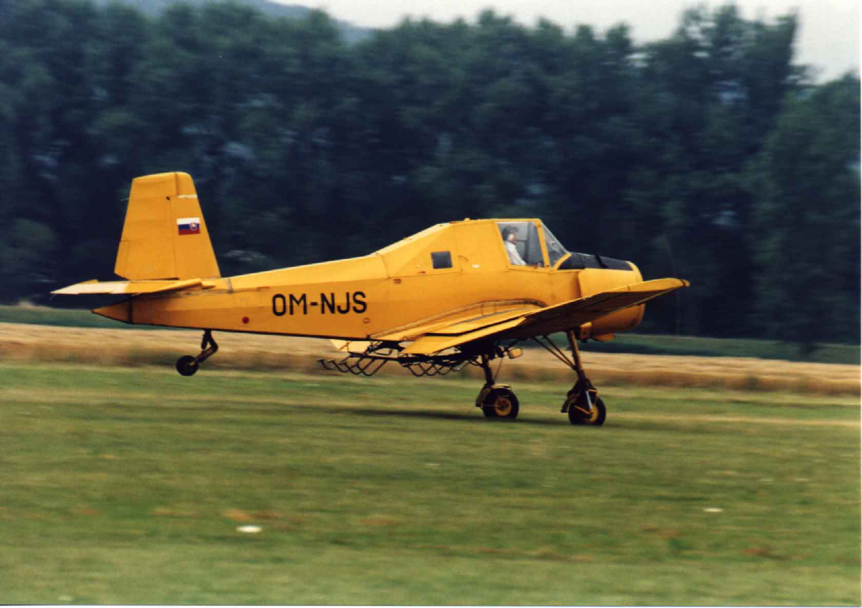 cmelak4.jpg